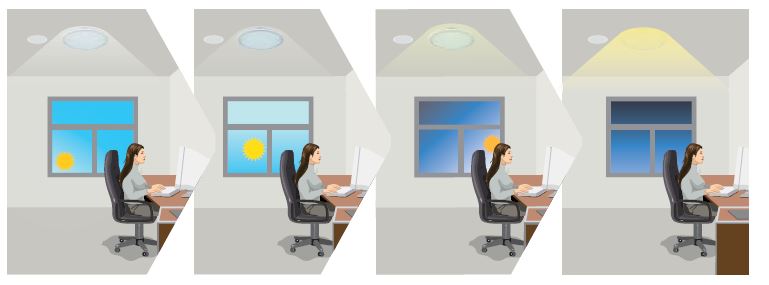 daylight harvesting control calibration professional services